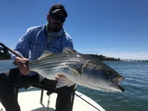 Fly & Light Tackle Trips