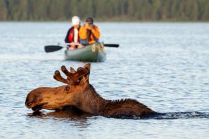 Guided Maine Canoe Trips