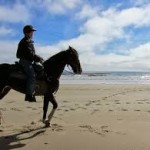 maine horseback riding