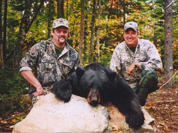 Maine Guided Black Bear Hunting