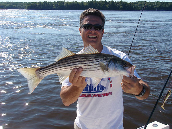 Fly Fishing for Sharks on the Maine Coast 