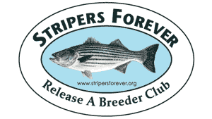 Stripers Forever